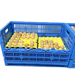 Farm Poultry Foldable PP <strong>Plastic</strong> <strong>Egg</strong> <strong>Crate</strong> Meshy Box Design with Folding Sheets for Chicken House Collapsible Transport Storage - Product Image 3