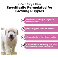 Nourriture pour animaux de compagnie OEM, nourriture pour chats et chiens, soutien du système immunitaire, soutien des articulations, vitamines A et E, multivitamines, comprimés à mâcher souples pour animaux