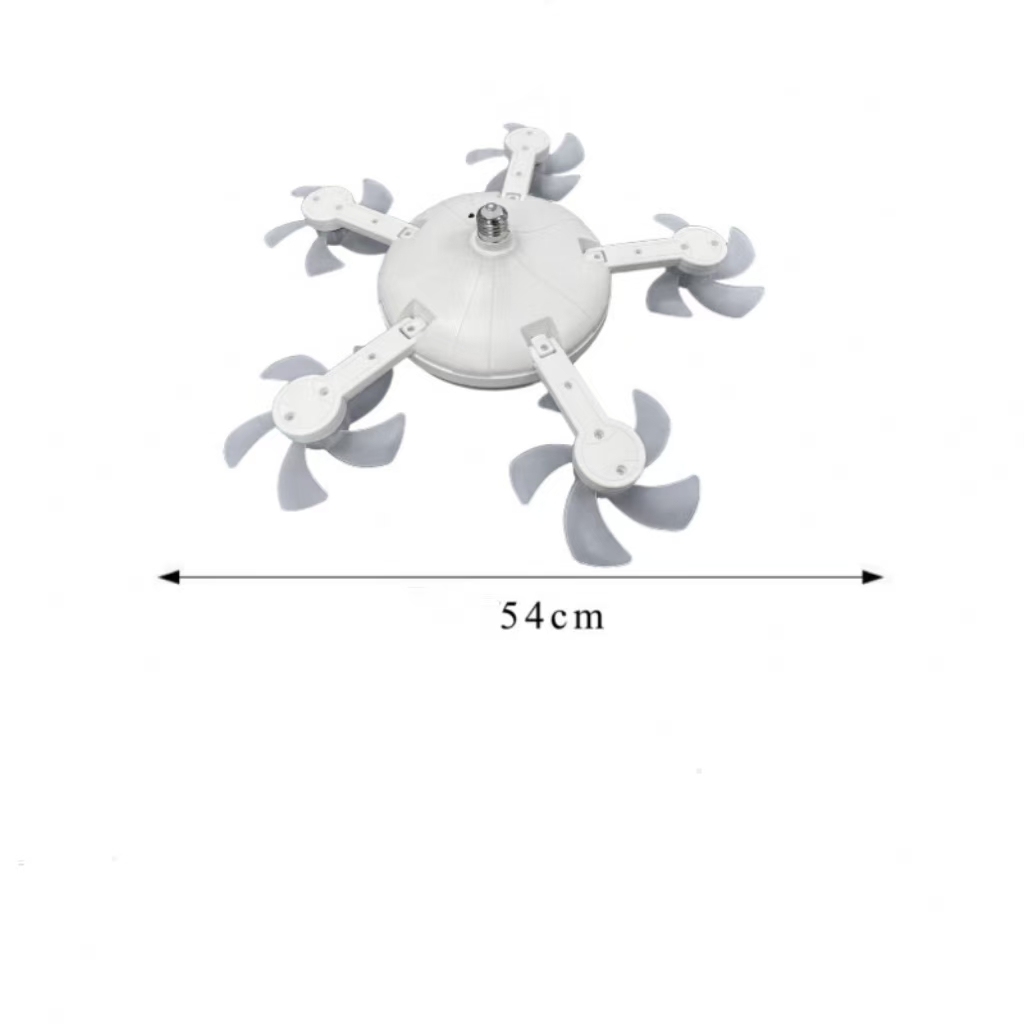 5 têtes blanches