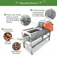 Machine électrique automatique de décorticage et de séparation pour amandes, noisettes et noix, avec un taux de décorticage élevé de 98%