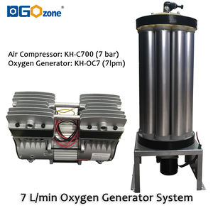 DGOzone 5 litri PSA generatore di ossigeno sistema 5l/min concentratore di ossigeno con compressore d'aria - Product Image 4