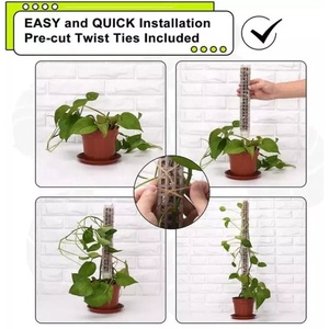 Poteau de mousse en plastique transparent pour plantes grimpantes d'intérieur, support de croissance pour plantes, piquet de mousse en coco, totem de mousse, piquet transparent pour plantes rampantes - Product Image 4