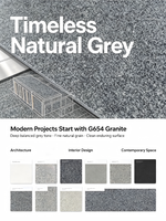 PAIA STONE Carreaux de granit modernes G654 intérieur/extérieur noir bleu Dubaï naturel poli 10x10