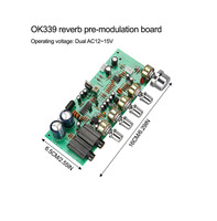 Mikrofon Digital penguat papan nada PT2399 papan Preamplifier Karaoke Reverb AC12-15V ganda OK339 dua mikrofon input