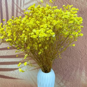 Flor Eterna, Flor Seca, Ramo de Flores Pequeñas Estrella del Cielo, 15 cm, 5 Piezas/ramo, Decoración para Bodas y Familia - Product Image 6