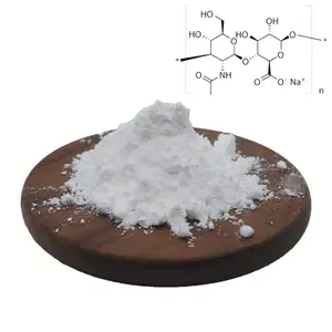 Factory Supply Bulk High Quality Cosmetic Grade Hyaluronic Acid 99% Sodium Hyaluronate Powder