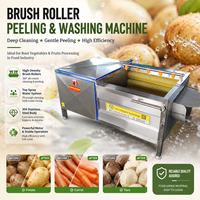 Machine de nettoyage et de pelage de légumes (gingembre, taro), équipement de lavage à brosse rotative, machine de traitement de l'ail, préparation alimentaire