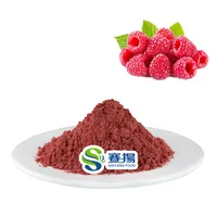 Iso Factory Supply Freeze Dried Red Raspberry Fruit Powder Red Raspberry Juice Powder