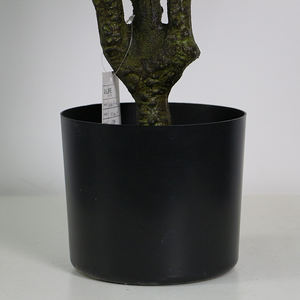 <span class=keywords><strong>ต้นไม้</strong></span>เทียมสีเขียวพลาสติกสัมผัสธรรมชาติออกแบบอย่าง<span class=keywords><strong>สวย</strong></span>งาม - Product Image 3