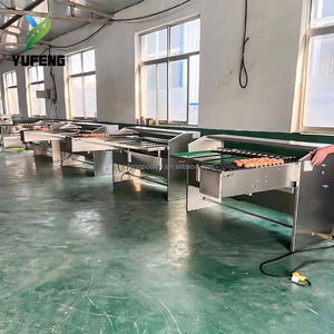 Macchina per Pesatura e Classificazione Uova 2.000 Pezzi/Ora, 5 Livelli di Classificazione, Pesatura Meccanica, Adatta per Impianti di Lavorazione Uova - Product Image 4