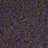 Farbenfroher Kunstrasen für Innen- und Außenbereich, Kindergarten, Outdoor-Sport, Synthetischer Plastikteppich, Roter Garten, Innenbereich