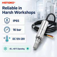 Transmetteur de point de rosée résistant à la corrosion HENGKO HG602-G pour atelier de revêtement de batteries