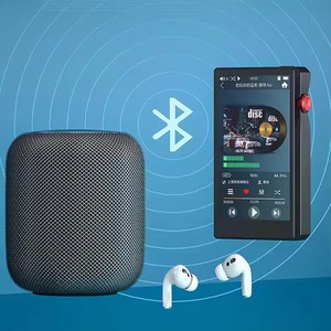 Lecteur MP4 personnalisé avec écran tactile complet de 4,5 pouces, Bluetooth, HiFi 24 bits sans perte, lecteur MP3 prenant en charge DSD, OTG, clé USB, lecteur de musique portable - Product Image 4