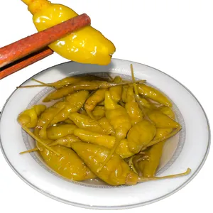 The hot product of the factory is spicy pickles and rod chilli food for vegetarians