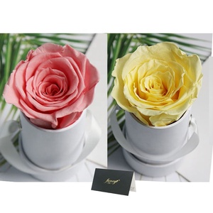 60 couleurs, roses <span class=keywords><strong>éternelle</strong></span>s écologiques, naturelles, longue durée, cadeaux pour les invités de mariage, Saint-Valentin, roses <span class=keywords><strong>éternelle</strong></span>s, roses conservées - Product Image 5