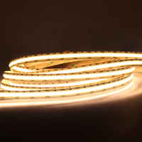 Nouveau Design d'usine décor d'armoire de cuisine Super lumineux pas de tache sombre IP20 bande lumineuse Flexible néon COB