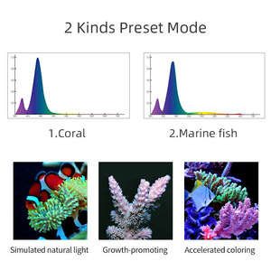 Lámpara LED regulable Week <span class=keywords><strong>Aqua</strong></span> para acuarios de arrecife de coral, iluminación para acuarios de agua salada - Product Image 3