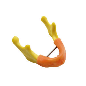 Modelo de ejercicio de implante mandibular dental para entrenamiento Práctica de perforación de sutura de incisión de conexión de hueso de mentón oral - Product Image 3