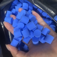 Bouchon d'éponge en PVA moderne, écologique, réutilisable, lavable et durable pour tube à essai, pour ferme à fourmis extérieure et observation de l'élevage