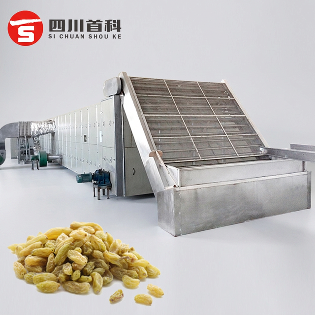 Stainless Steel Dried Fruit Dehydration Equipment Mesh Belt 220V PLC Gear Fruit Drying Machine for Grape Peach Banana Tomato
