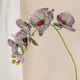 Fleur artificielle en plastique faite à la main, 7 têtes, grande orchidée, décoration de mariage, décoration de la maison, boutique de gâteaux, pâtisserie, Phalaenopsis