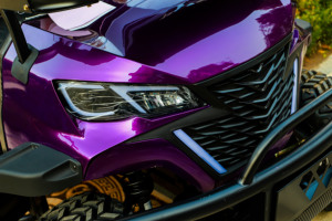 Tongcai CE phê duyệt 4 bánh xe ổ đĩa 48V nâng lên 4 chỗ ngồi off-road săn bắn Giao thông vận tải tiện ích Golf giỏ hàng cho Câu lạc bộ xe - Product Image 2