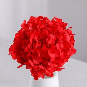 Venta al por mayor precio barato real natural conservado Flor de hortensia tamaño pequeño Anna conservado Hortensia para arreglo floral - Product Image 4