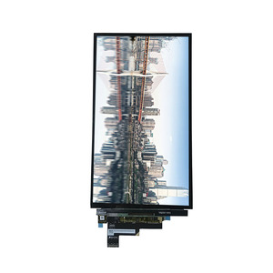 Mới Nhất 300Nits 10.13 Inch Linh Hoạt Amoled 1242X2208 Độ Phân Giải Mipi Giao Diện Trong Tế Bào Cảm Ứng Với Bảng Điều Khiển - Product Image 2