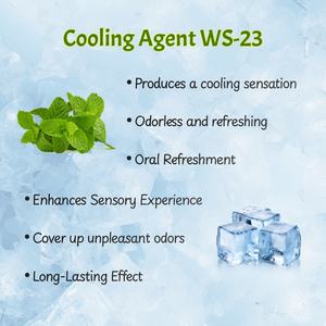 Agent de refroidissement de haute qualité Ws23, matière première, agent de refroidissement de qualité alimentaire, poudre Ws23 - Product Image 4