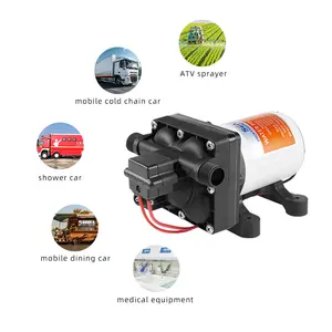 SEAFLO 55psi Micro diaphragm pump 24v high flow water pump 3.8BAR adjustable pressure switch water pump agriculture