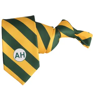 Gravata de seda personalizada, logotipo impresso amarelo verde para homens acessórios de terno