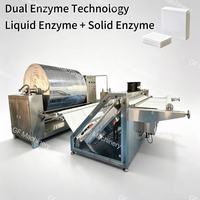 Máquina Secadora y Formadora de Rollos de Hojas de Detergente para Ropa, Producción Automática de Hojas de Detergente con Pulverización de Enzimas Líquidas y Sólidas
