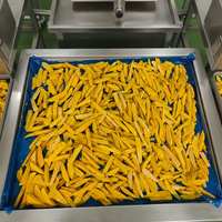 Vente en gros de tranches de mangue lyophilisées sans sucre, de haute qualité, prêtes à consommer, saveur sucrée, en vrac, pour collations de fruits et légumes