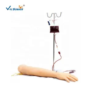 La venopunción avanzada y el brazo modelo de brazo de inyección intramuscular realizan sistemas vasculares venosos