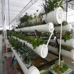 Codo Acrílico Transparente Blanco - Product Image 6