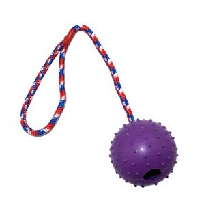 Giocattolo giocattolo per cani interattivo su una corda premio durevole Chew Chew chitch toch <span class=keywords><strong>Dog</strong></span> Toy Toy - Product Image 3