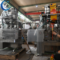 Machine de remplissage et d'emballage automatique haute productivité pour poudres alimentaires (épices, café et thé) en sacs en acier inoxydable