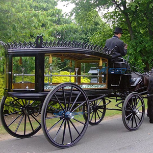 Cercueil funéraire tiré par des chevaux, transport spécial, vente directe d'usine, calèche funéraire tirée par des chevaux - Product Image 1