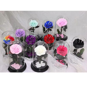 2025 añosCupula De La <span class=keywords><strong>Bella</strong></span> Y Bestia <span class=keywords><strong>Flor</strong></span> En Caja Y Eternity Red Roses In The Glass Domebest Quality - Product Image 1