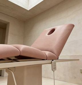 Electric Beauty Bed with Lifting Folding Tattoo Embroidery Micro Plastic Therapy Bed Beauty Salon Specific Massage Bed - Product Image 6