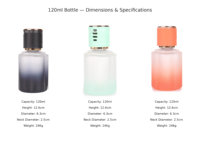 Bouteille diffuseur de parfum pour voiture en verre dépoli dégradé de 120 ml avec bouchon souriant, vide, pour emballage d'arômes domestiques