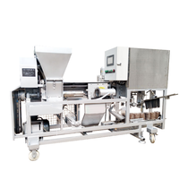 Machine automatique de remplissage et d'ensachage de substrat pour champignons de huître, ensacheuse de substrat pour champignons, machine de remplissage de sacs de culture de champignons