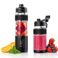 Draagbare fruitblender, lichtgewicht oplaadbare mixer voor het bereiden van sap en smoothies, overal en altijd