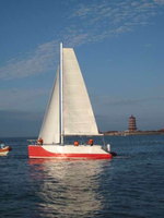 Bestyear Catamaran S33c Bateau Voilier