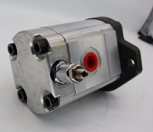 Pompe à engrenages Lainuo 3349211149 simple/tandem 3349 211 149 Pompe hydraulique 3349 211 149 en stock - Product Image 6