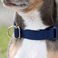 Collier de chien en nylon de haute qualité pour la marche quotidienne, la randonnée et la formation.