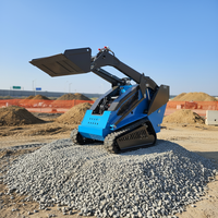 500kg Mini-Raupenlader-Dumper mit Briggs&Stratton Motor und Eaton Pumpe – Multifunktional für Bau und Konstruktion