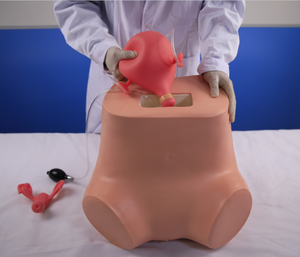 Professionele Medische Wetenschap Gynaecologische Examen Trainingssimulator - Product Image 6