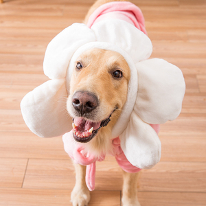 Golden Retriever-ropa para perros y gatos, ropa para perros de raza grande - Product Image 5