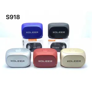 Boîte de haut-parleurs de magasin S918 petit haut-parleur Rechargeable pour maison hôtel voiture école